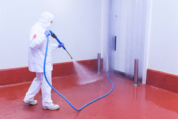 Best Building Exterior Washing  in Auburn, NY